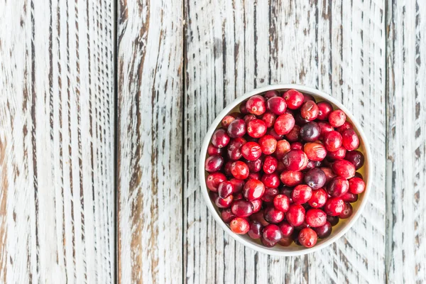 Rote reife Preiselbeere — Stockfoto