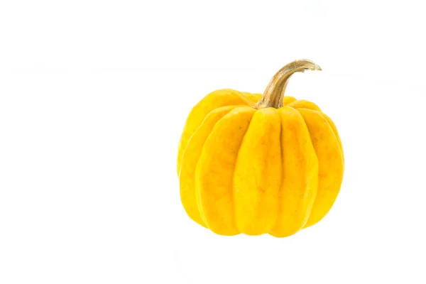 Ripe yellow Pumpkin — Stock Photo, Image