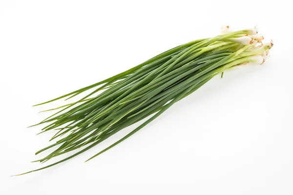 Green spring onion — Stock Photo, Image