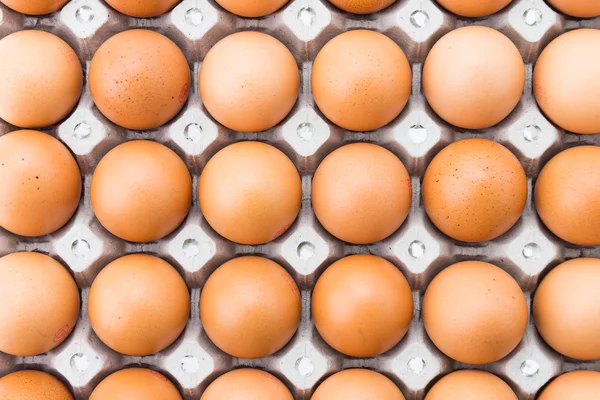 Eggs in box — Stock Photo, Image