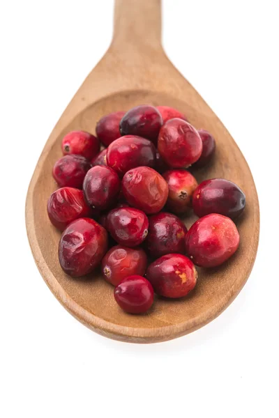 Cranberry în lingură de lemn — Fotografie, imagine de stoc