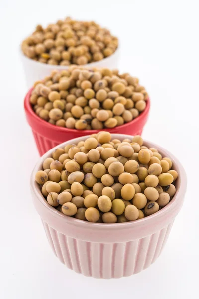 Raw healthy Soybean — Stock Photo, Image
