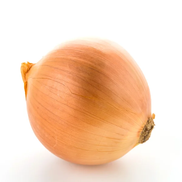 Bir kahverengi soğan — Stok fotoğraf