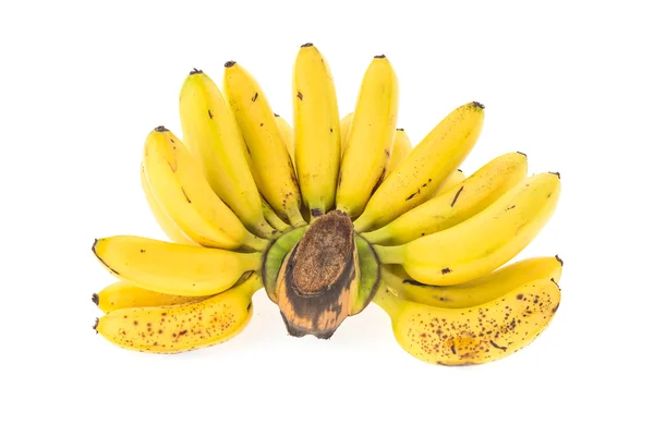 Banana Fruit — Stock Photo, Image