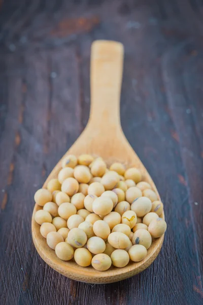 Soy beans — Stock Photo, Image