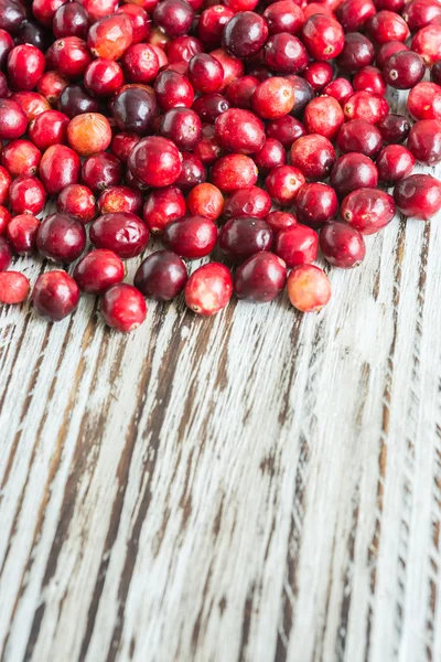 Cranberry isolated — Stock Photo, Image