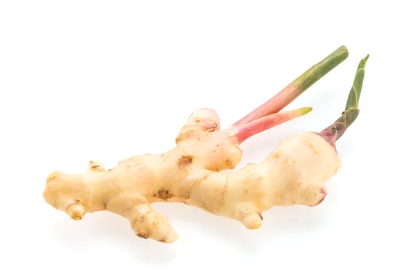 Ginger isolated — Stock Photo, Image