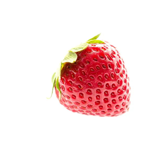 Fragola isolata — Foto Stock