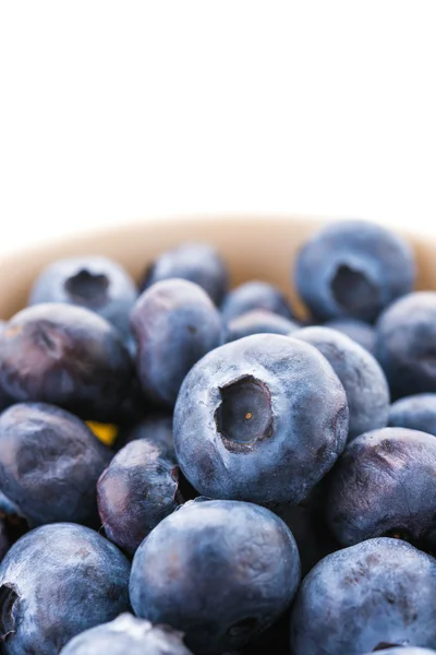 Blueberry isolated — Stock Photo, Image