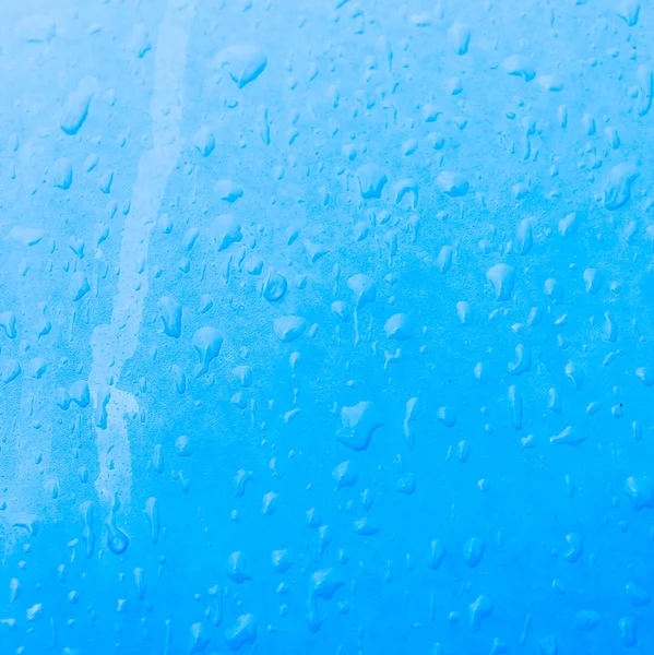 雨上がりの水滴 — ストック写真