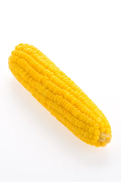 Corn on white background — Stock Photo, Image