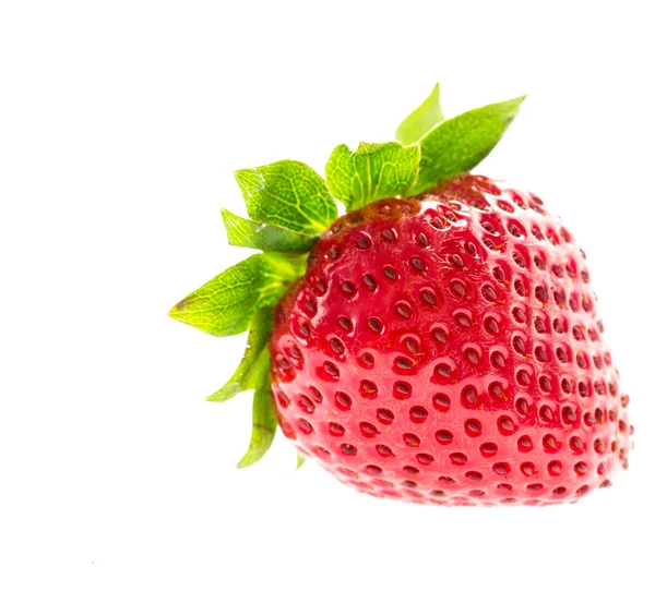 Fragola su sfondo bianco — Foto Stock