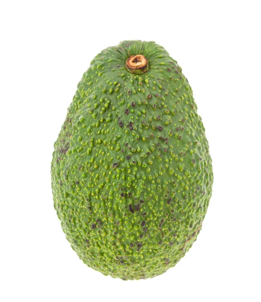 Avocado geïsoleerd — Stockfoto