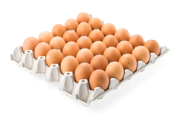 Eggs isolated — Stock Photo, Image