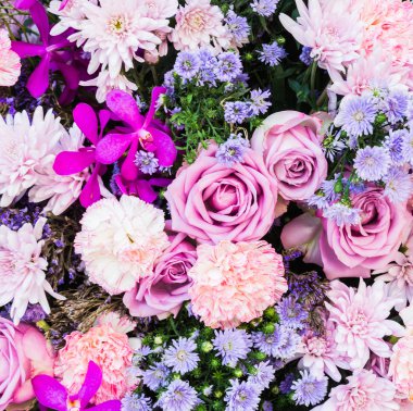 renkli çiçek arka plan