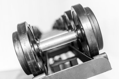 Halter fitness ekipmanları