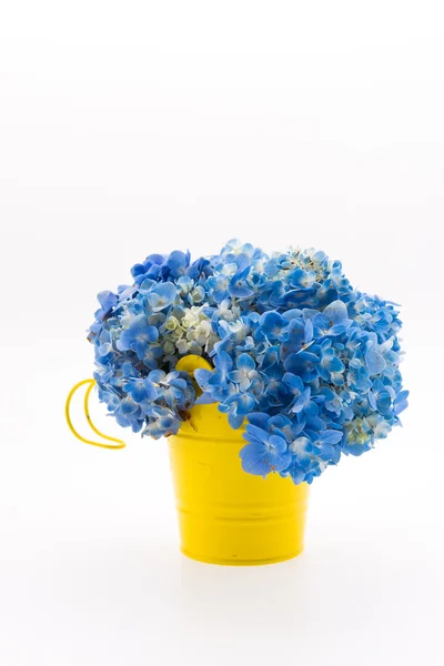 Bouquet di fiori ortensia — Foto Stock