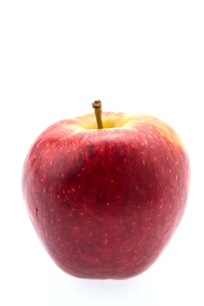 Apple isoliert — Stockfoto