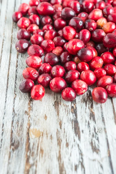 Cranberry isolated — Stock Photo, Image