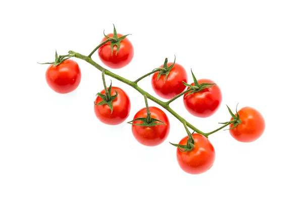 Tomaten isoliert — Stockfoto