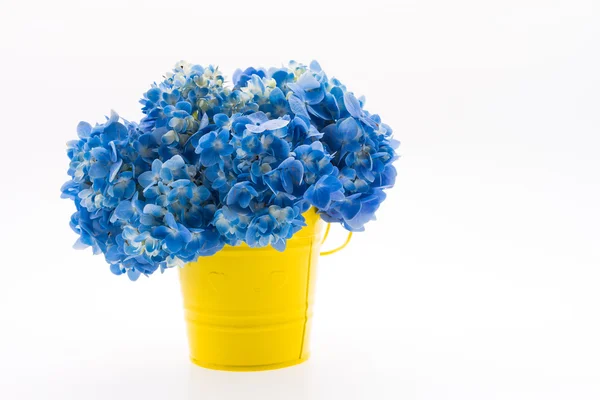 Цветочный букет Hydrangea — стоковое фото