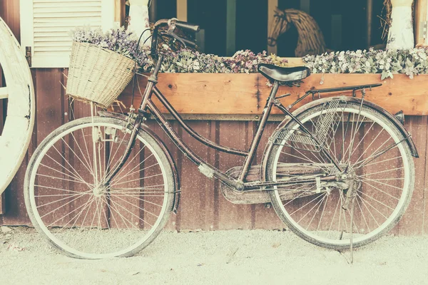 Vintage bicycle with flowers — Stock Photo, Image