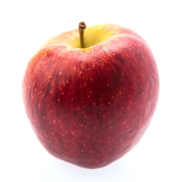 Ripe healthy Apple — Stock Photo, Image