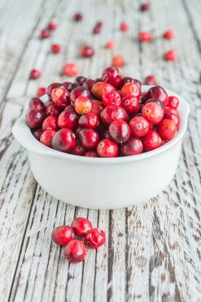 Köstliche Preiselbeeren im Gericht — Stockfoto