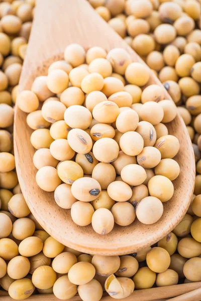 Soybeans in wooden spoon — Stock Photo, Image