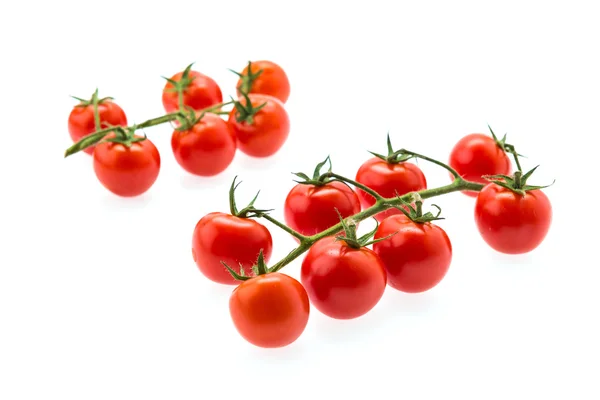 Ramas de tomate rojo fresco —  Fotos de Stock