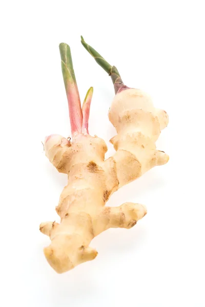 Fresh ginger root — Stock Photo, Image