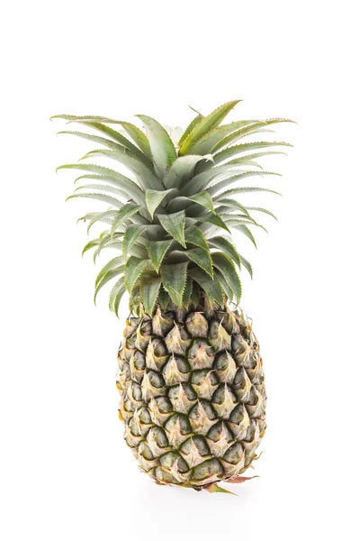 Tropische organische ananas — Stockfoto