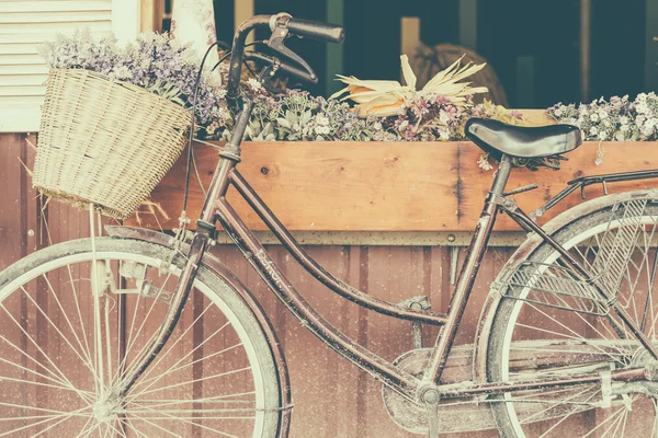 Vintage bicycle with flowers — Stock Photo, Image