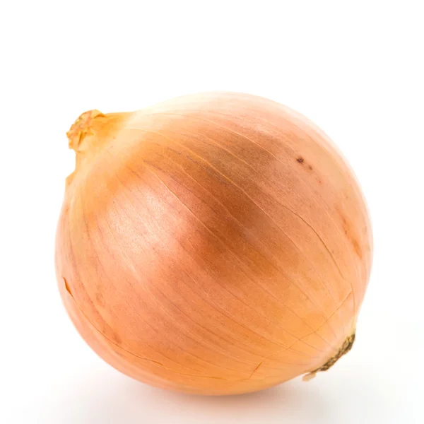 Raw ripe Onion — Stock Photo, Image