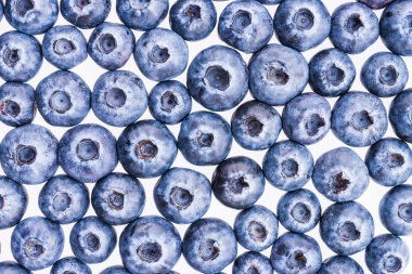 tatlı sağlıklı yaban mersini