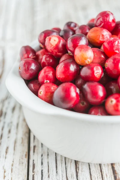 Frische Preiselbeere in weißer Schüssel — Stockfoto