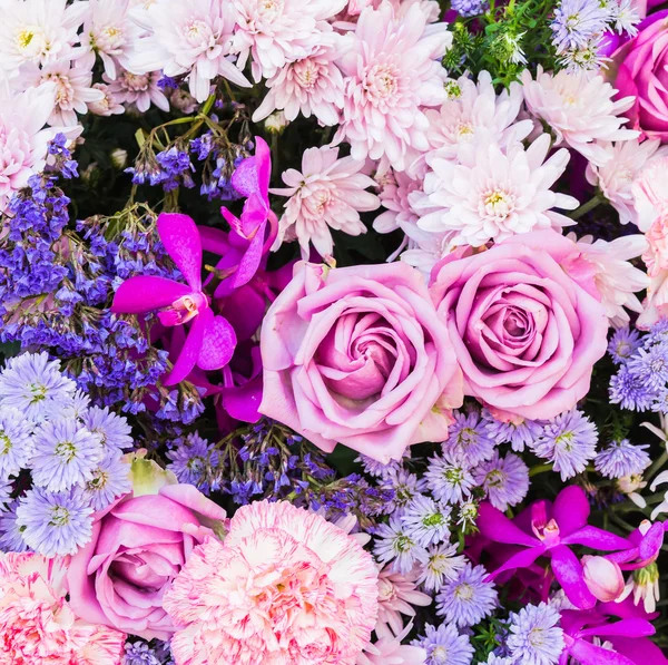 Színes természet virágok — Stock Fotó