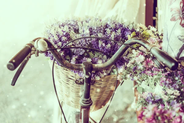 Téli virág kerékpár — Stock Fotó