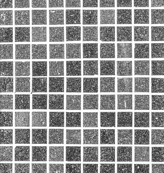 Фон текстур плитки — стоковое фото