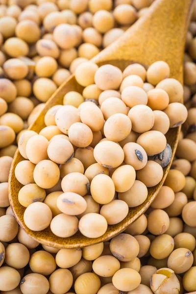 Soybeans on wooden spoon — Stock Photo, Image