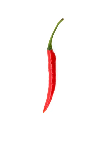 Red Chilli pepper — Stock Photo, Image