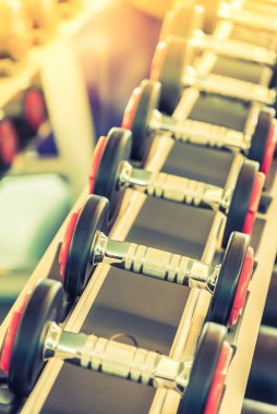 Halter salonunda ayarla