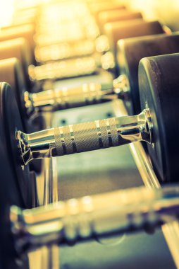 Halter salonunda ayarla