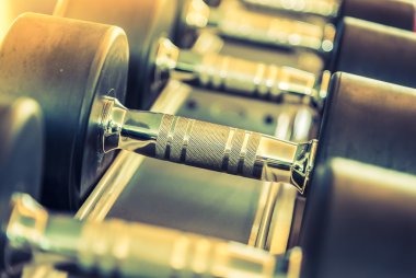 Halter salonunda ayarla