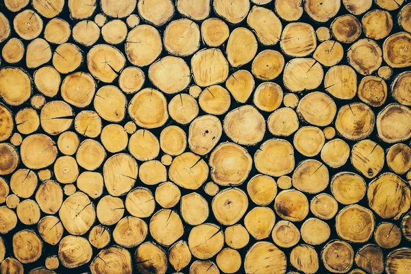 Log bois textures fond — Photo