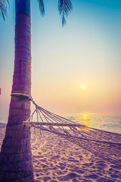 Empty hammock on the beach — Stock Photo, Image