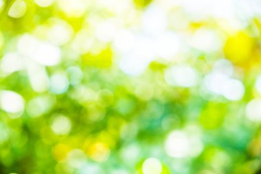 Abstract blur background