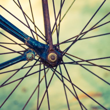 Vintage Bisiklet açık