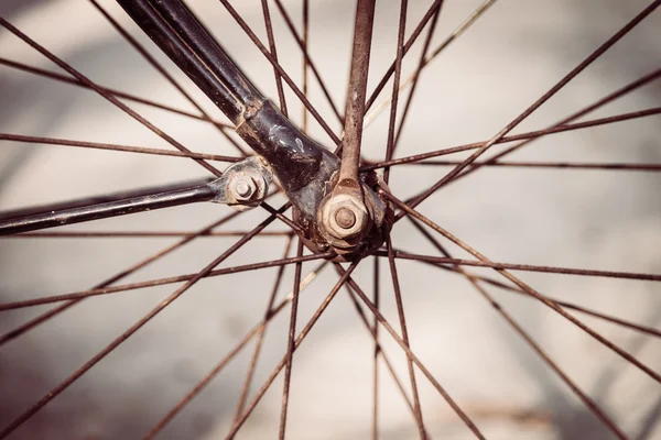 Vintage Bisiklet açık — Stok fotoğraf