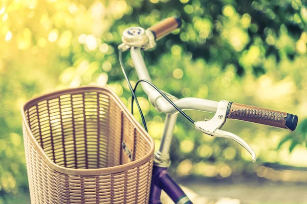 Vintage bicicleta al aire libre —  Fotos de Stock